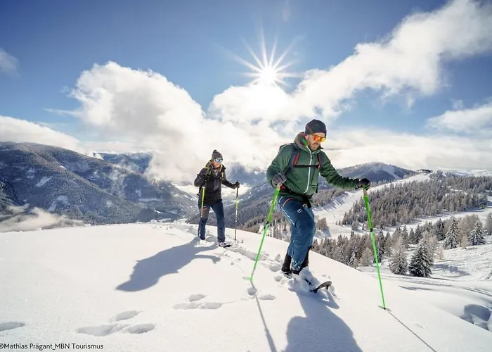 Alpstay Platzhirsch - Ski-in&ski-out *